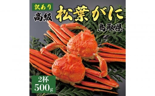 y2025N11z tɁi䥁jy󂠂z500g̃TCY  2t挧ՉY66000ECYJj