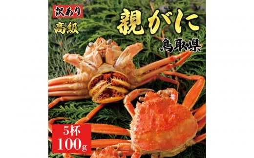 【2025年11月発送】鳥取県産 特撰 親がに 姿【セコガニ】(茹)【訳あり】100g 5杯鳥取県琴浦町14000魚介・海産物カニ