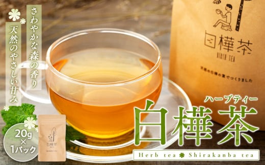 白樺茶 2パック長野県立科町13000お茶・飲料お茶