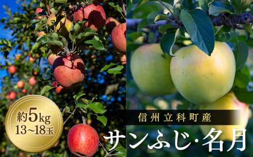サンふじ・ぐんま名月ミックス(約5s、優13〜18玉)長野県立科町16000果物・フルーツりんご・梨