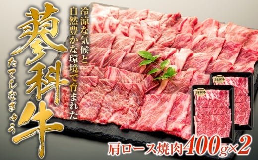 ȋ[Xēp400g×2쌧Ȓ22000