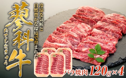 ȋoē120g×4쌧Ȓ16000