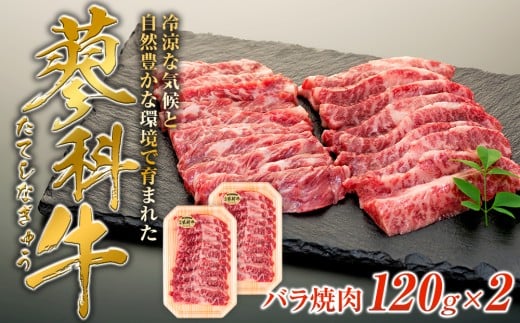 ȋoē120g×2쌧Ȓ10000