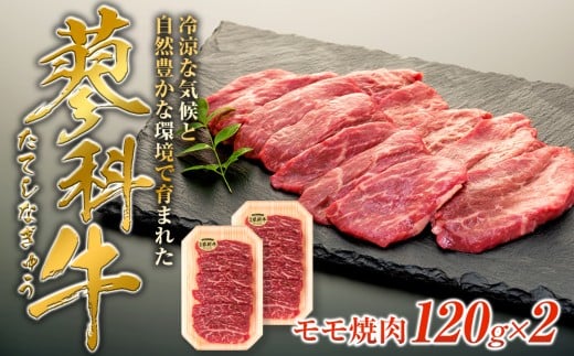 ȋē120g×2쌧Ȓ9500