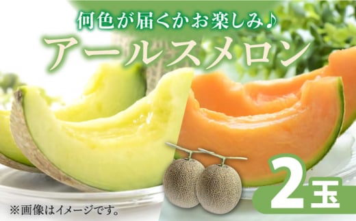 y2025N11`zA[X  (2) /  ߂  ߂   ʕ t[c / 쓇s / JA_哌암Z^[ [SAC004]茧쓇s16000ʕEt[c