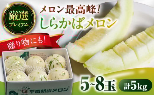 【2026年3月中旬〜発送】【平成新山メロンPREMIUM(とみちゃん厳選)】しらかばメロン 5玉〜8玉 約5kg / メロン めろん 青肉 糖度 果物 くだもの フルーツ ふるーつ 旬 高級 ギフト / 南島原市 /