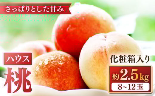 y2026N5{`z ʍ͔|nEX 2.5kg ϔ  /    t[c ʕ { / 쓇s / ӂ͂t@[ / _ [SBS006]茧쓇s18000ʕEt[cE
