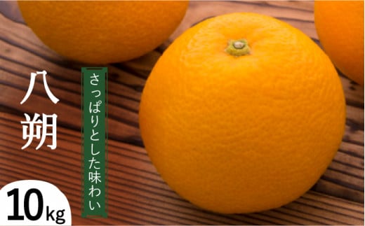 y2026N1`zi10KgjiL`2Lj / ͂ nbTN ͂ nbTN nbTN  ݂ ~J  k t[c ʕ / 쓇s / ] [SCY005]茧쓇s14000ʕ