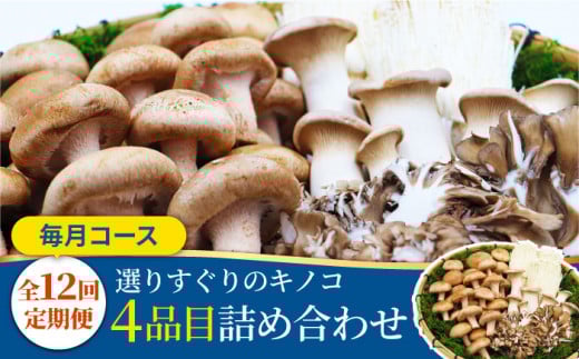y12ցẑ IZbg 4iځu12ijv͂  ILmR lߍ킹 ̂ ̂Zbg / 쓇s / g [SCZ015]茧쓇s130000؁Ê̂