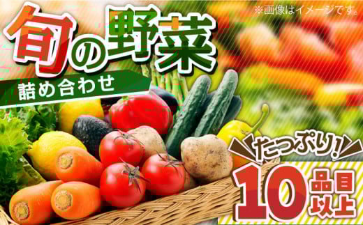 n_Ƃ񂪎n{̂ 10lߍ킹 /  { VN ̂ꂽ Gߖ { _ƒ / 쓇s / ~iT| [SCW022]茧쓇s13000؁Ê̑ 