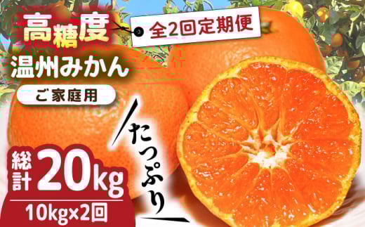 【2025年12月〜発送】【2回定期便】高糖度 温州みかん(約10kg×2回) / みかん 定期便 ミカン 蜜柑 長崎県産みかん 糖度 果物 くだもの 果物定期便 フルーツ ふるーつ フルーツ定期便 旬 家庭