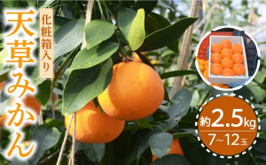 y2025N11{`zV݂ 2.5kg / ݂ ~J  ݂ ~J ~J ʕ t[c p ϔ / 쓇s / JA_哌암Z^[[SAC001]茧쓇s15000ʕ