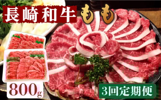 y3ցza  800g   /  XCX ؂ ؂  Ă ₫ Ԃ / 쓇s / ͂ȂԂ [SCN079]茧쓇s150000