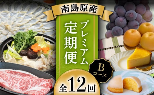 yn108N̘VܓXoC[ZNgIz쓇̈i v~A 12 BR[X /  a ӂ P[L `[YP[L ߂  / Ȃ [SCH043]茧쓇s483000