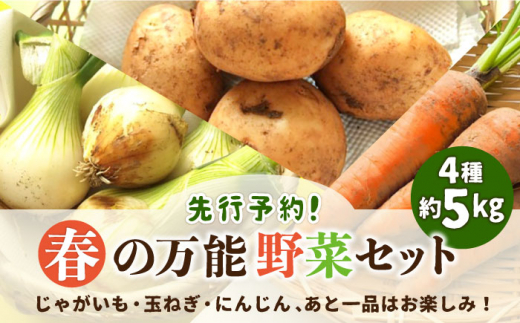 【2026年5月下旬〜発送】【先行予約!】春の万能野菜セット 約5kg / じゃがいも ジャガイモ たまねぎ 玉ねぎ タマネギ にんじん 人参  旬野菜 詰め合わせ / 南島原市 / 長崎県農産品流通合同会