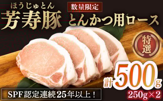 F Ƃ񂩂p[X 500g 쓇s / Fq [SEI029]茧쓇s8000ؓ