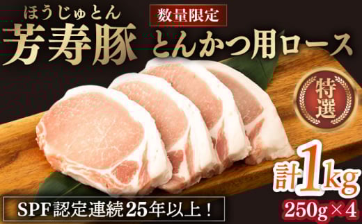 F Ƃ񂩂p[X 1000g 쓇s / Fq [SEI030]茧쓇s12000ؓ