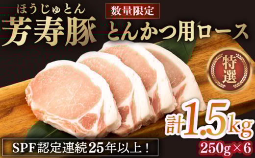 F Ƃ񂩂p[X 1500g 쓇s / Fq [SEI031]茧쓇s16000ؓ