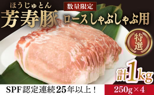 F [X Ԃԗp 1000g 쓇s / Fq [SEI036]茧쓇s12000ؓ