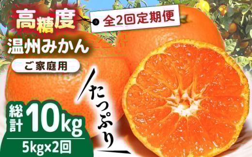 【2025年12月〜発送】【大満足! 2回 定期便 】温州みかん 約5kg / みかん 定期便 ミカン 蜜柑 長崎県産みかん 糖度 果物 くだもの 果物定期便 フルーツ ふるーつ フルーツ定期便 旬 家庭用 5kg /