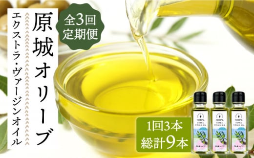 y3ցz  I[u GNXgE@[WIC  100ml 3{ / I[uIC IC   / 쓇s / ~iT| [SCW057]茧쓇s129000EHp