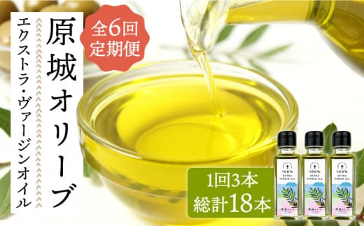 y6ցz  I[u GNXgE@[WIC  100ml 3{ / I[uIC IC   / 쓇s / ~iT| [SCW058]茧쓇s258000EHp