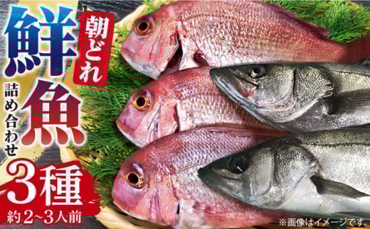 ǂ N lߍ킹 3i2`3lOj   / AW AJu ^C JnM Ȃ   VN Zbg ① Yn ς / 쓇s / g [SDW003]茧쓇s22000ECY