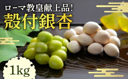 kt  1kg / Ⓚ   Ȃ Mi Ȃ Mi Mi / 쓇s / Z~i̋uǔ [SBC001]茧쓇s11000؁Ê̑ 