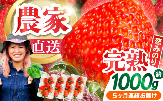 y2025N1`zy5ցz쓇Y  û݂v260g×4P /   C`S  t[c ʕ / 쓇s / farm [SFF004]茧쓇s80000ʕEt[c