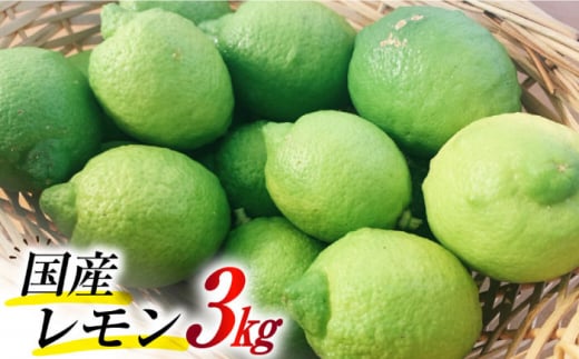 y2025N8{`zY ̍îj3kg  /   EG Y k / 쓇s / 茧_Yiʍ [SCB078]茧쓇s13000ʕEt[c݂Ek