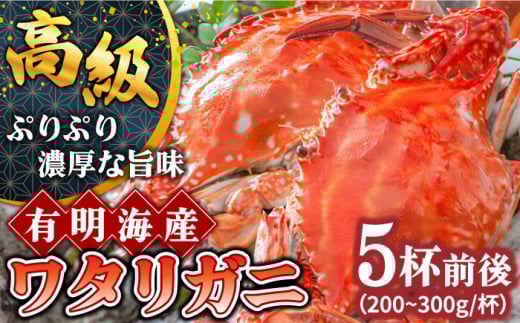 【2026年7月〜発送】【数量限定】有明海のワタリガニ 200g〜300g×5匹前後 / かに カニ 蟹 kani ボイル カニ爪 ワタリガニ わたりがに 渡り蟹 カニしゃぶ  ほぐし身 かにみそ 冷凍 / 南島原市 / 長