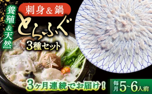 y2026N2`񔭑zy3ցz쓇ӂOR[X T`6lO / ӂ tO ͓ gtO ӂh / 쓇s / a [SCJ032]茧쓇s336000ECYN