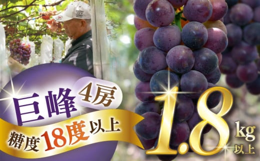 y2026N7{`zyʌzyx18xȏzԂǂ 4[ 1.8kgȏ / Ԃǂ uhE   ʕ t[c ӂ[ / 쓇s / ~iT| [SCW073]茧쓇s14000ʕEt