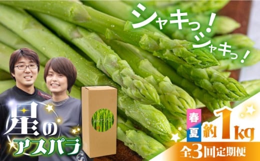y3ցzỹAXpztE  O[ AXpKX 1kg / AXp  / 쓇s / قYA [SEY016]茧쓇s32000؁Ê̑ 
