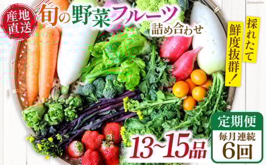 【6回定期便】毎月連続 「旬の野菜・フルーツ」 詰め合わせ セット(13品〜15品)/ 野菜 定期便 やさい 定期便 野菜セット やさいセット 春野菜 夏野菜 秋野菜 冬野菜 旬新鮮 / 南島原市 /長