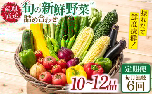【6回定期便】毎月連続 旬の新鮮 野菜詰め合わせセット(10品〜12品)/ 野菜 定期便 やさい 定期便 野菜セット やさいセット 春野菜 夏野菜 秋野菜 冬野菜 旬新鮮 / 南島原市 /長崎県農産品流