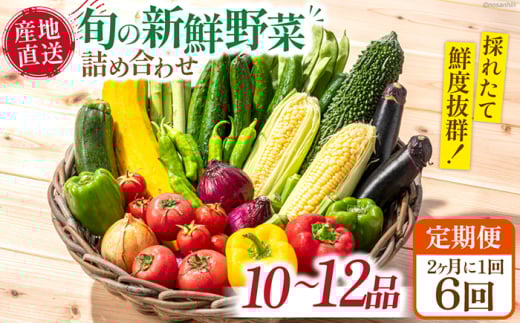 y6ցz21 {̐VN ؋lߍ킹Zbgi10i`12ij/   ₳  ؃Zbg ₳Zbg t Ė H ~ {VN / 쓇s /茧_Yi