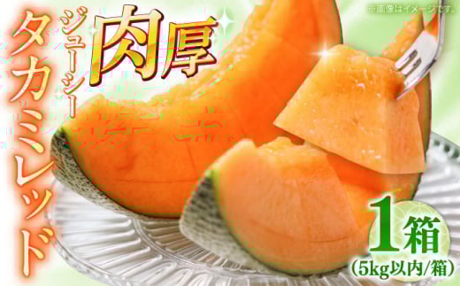 y2026N5`z^J~ bh 1 5kgȓi3`6ʁj /  ߂ t[c ʕ / 쓇s / 쓇ʕ [SCV031]茧쓇s17000ʕEt[cEXCJ