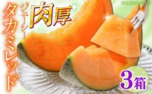 y2026N5`z^J~ bh 3i1 3`6ʁj /  ߂ t[c ʕ / 쓇s / 쓇ʕ [SCV033]茧쓇s42000ʕEt[cEXCJ