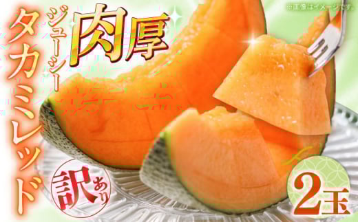 y2026N5`z󂠂 ^J~ bh 2 /  ߂ t[c ʕ / 쓇s / 쓇ʕ [SCV035]茧쓇s12000ʕEt[cEXCJ