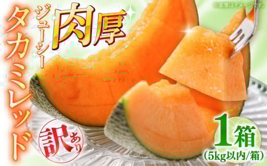 y2026N5`z󂠂 ^J~ bh 1 5kgȓi3`6ʁj /  ߂ t[c ʕ / 쓇s / 쓇ʕ [SCV036]茧쓇s16000ʕEt[cEXCJ