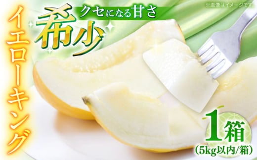 y2026N5`z CG[LO 1 5kgȓi3`6ʁj /  ߂ t[c ʕ / 쓇s / 쓇ʕ [SCV039]茧쓇s17000ʕEt[cEXCJ