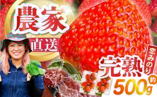 y2026N1`z쓇Y  û݂v250g×2P / C`S  t[c ʕ / 쓇s / farm [SFF006]茧쓇s10000ʕEt[c