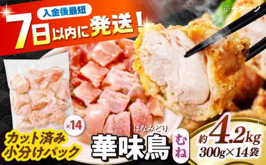 Xs[hzؖ ނ˓ 4.2kgi300g×14܁j Jbgς 쓇Y /@{  Ƃ l {ނ˓ Ⓚ e / 쓇s / ГnuC[ [SFS008]茧쓇s15000