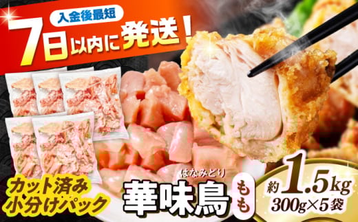Xs[hzؖ  1.5kgi300g×5܁j Jbgς 쓇Y /@{  Ƃ  { Ⓚ / 쓇s / ГnuC[ [SFS009]茧쓇s10000{