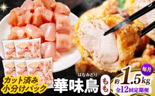 y12ցzؖ  1.5kgi300g×5܁j Jbgς 쓇Y /@{  Ƃ  { Ⓚ / 쓇s / ГnuC[ [SFS023]茧쓇s111000{
