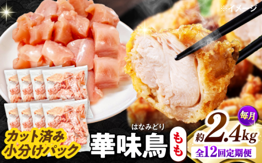 y12ցzؖ  2.4kgi300g×8܁j Jbgς 쓇Y /@{  Ƃ  { Ⓚ / 쓇s / ГnuC[ [SFS026]茧쓇s158000{