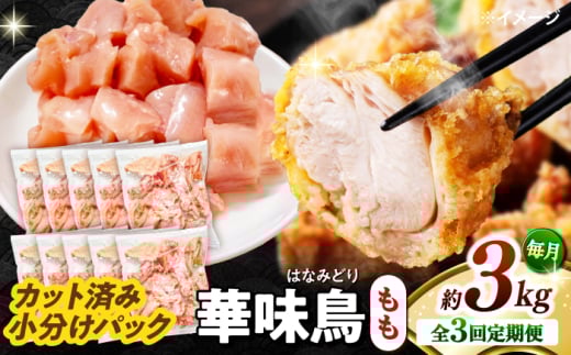 y3ցzؖ  3kgi300g×10܁j Jbgς 쓇Y /@{  Ƃ  { Ⓚ / 쓇s / ГnuC[ [SFS027]茧쓇s46000{