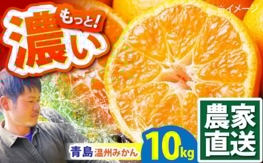 y2026N1`z B݂ 10kg / ݂ ~J  Â t[c ʕ / 쓇s / ܂ [SCQ003]茧쓇s19000ʕEt[c݂Ek