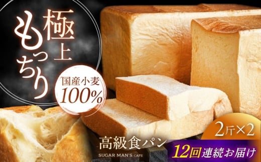 y12ցzyY100%z Hp 2 2{ / Hp Wސ p Hp / 쓇s / sugar man's cafe [SEU016]茧쓇s105000āEpp